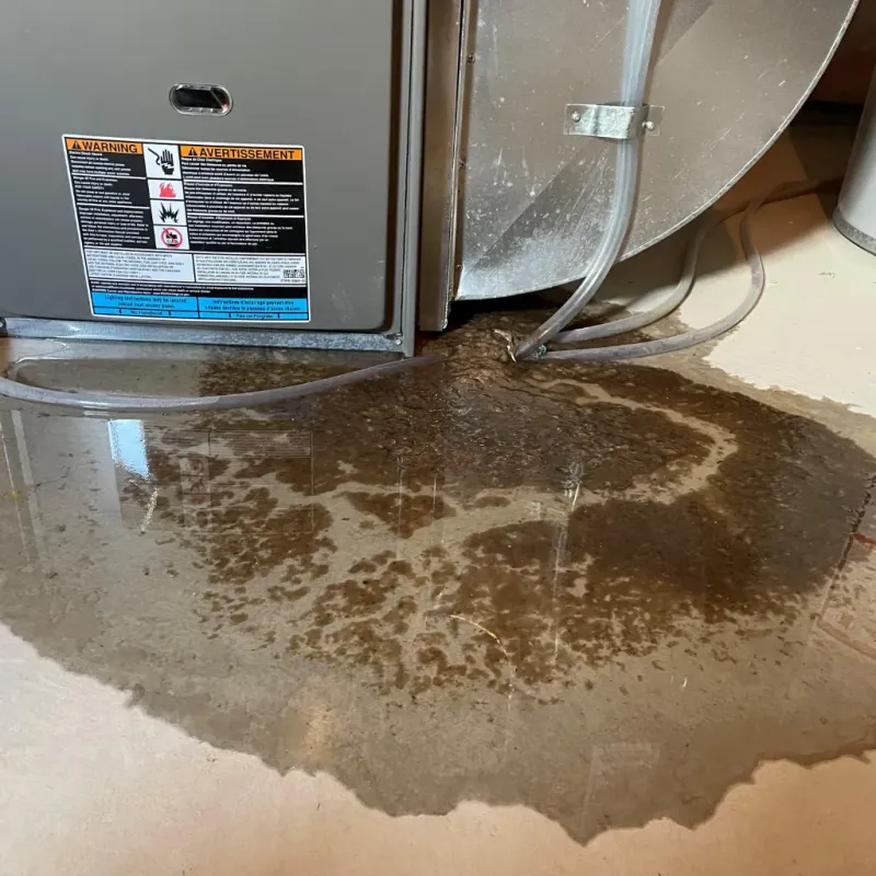 Appliance Leak Cleanup in Maiden, NC